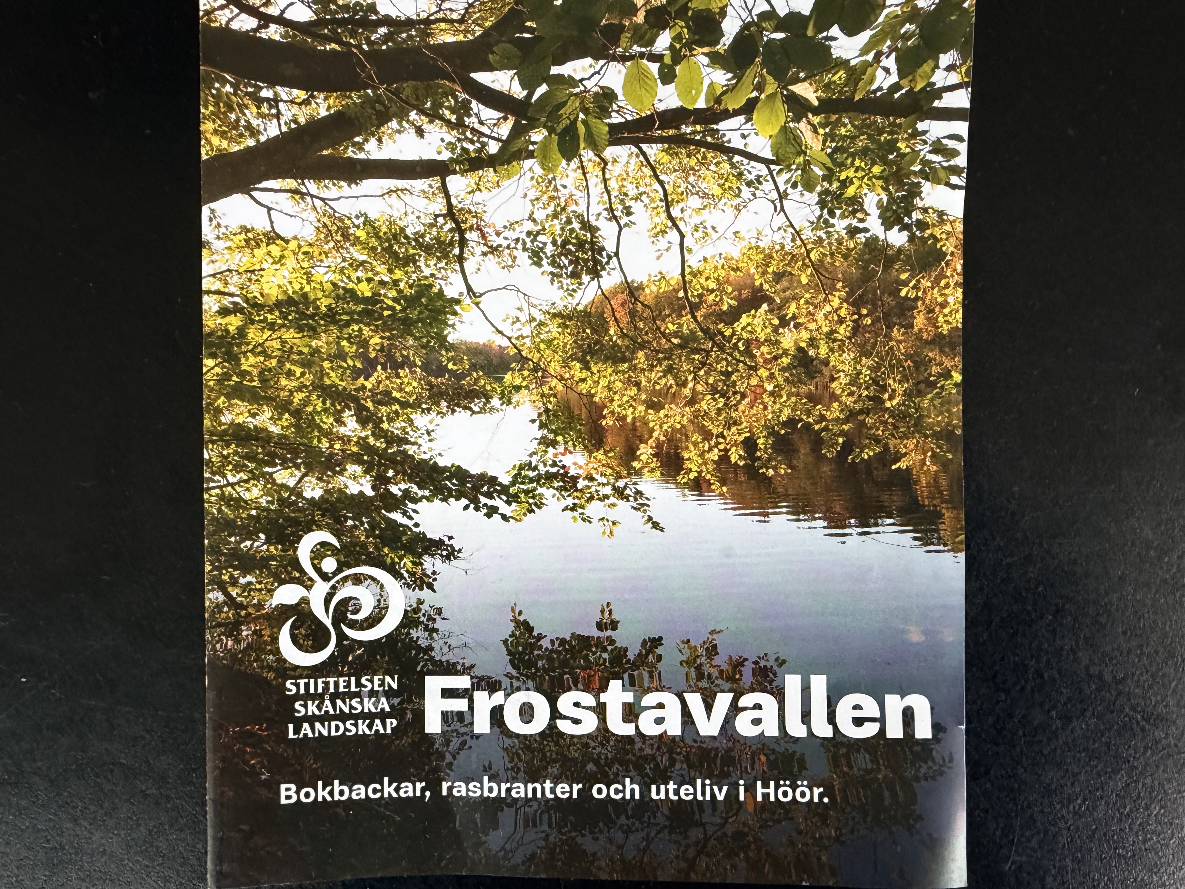 En bild på omslaget av en broschyr.