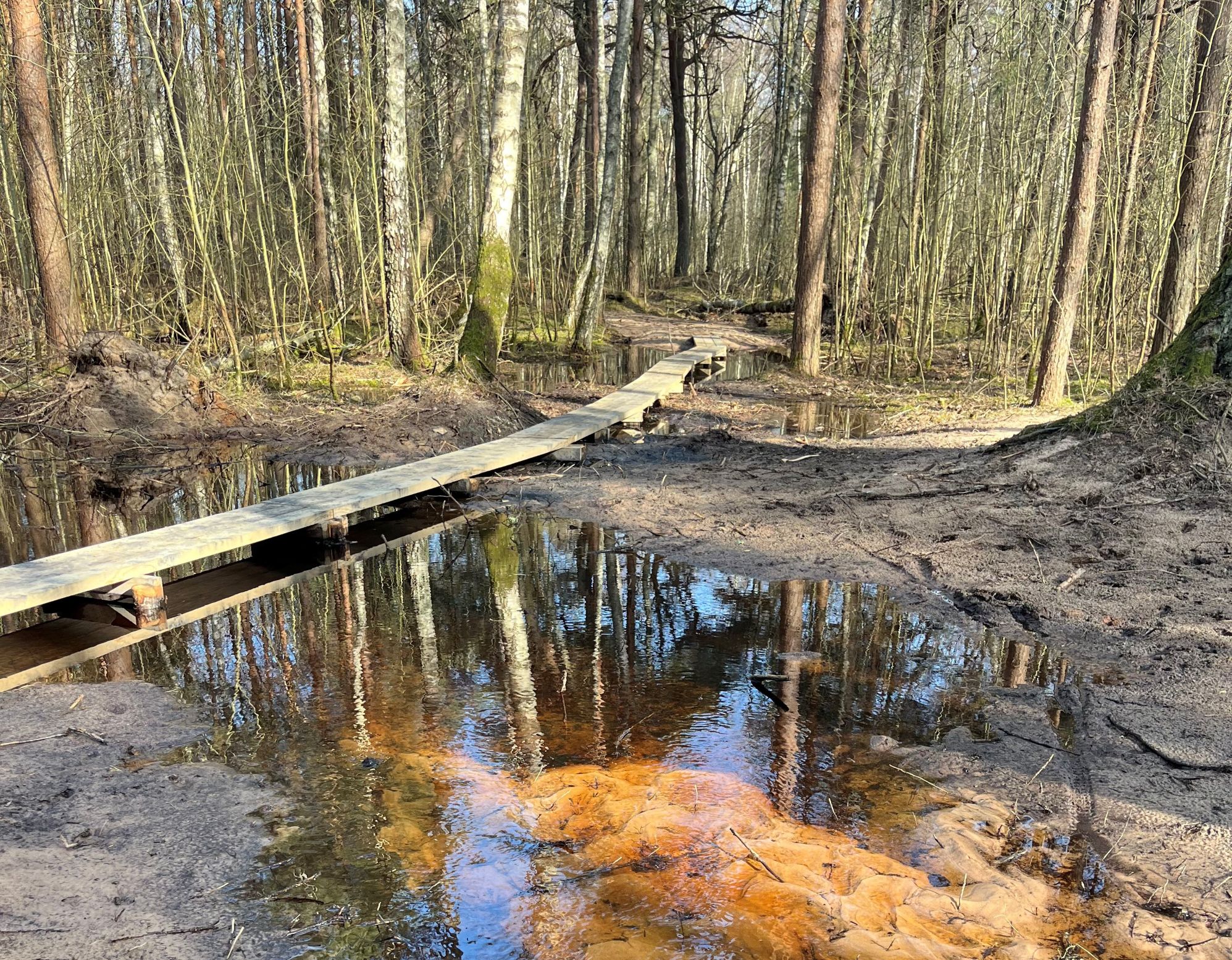 Vattnet flödar intill en spång.