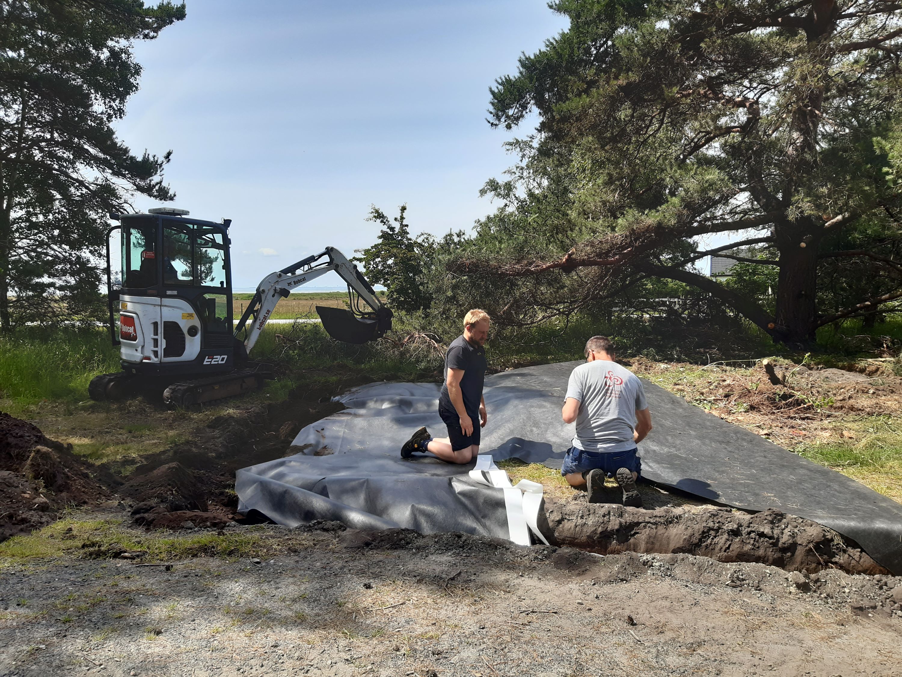 Genom att täcka över parkslide kväver vi växten. Två av våra naturvårdsförvaltare tar bort parkslide i Järavallen strövområde.