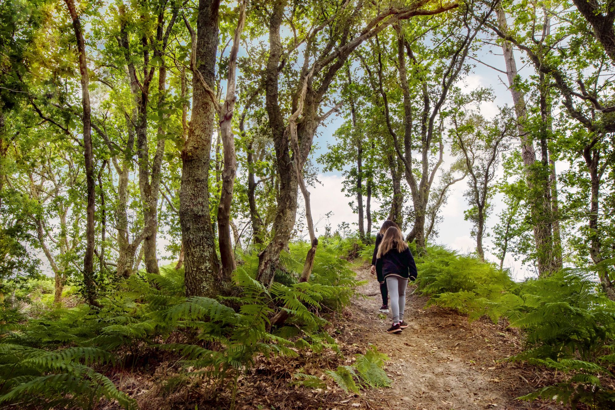 Skogsträffar fick tjejer att må bättre.