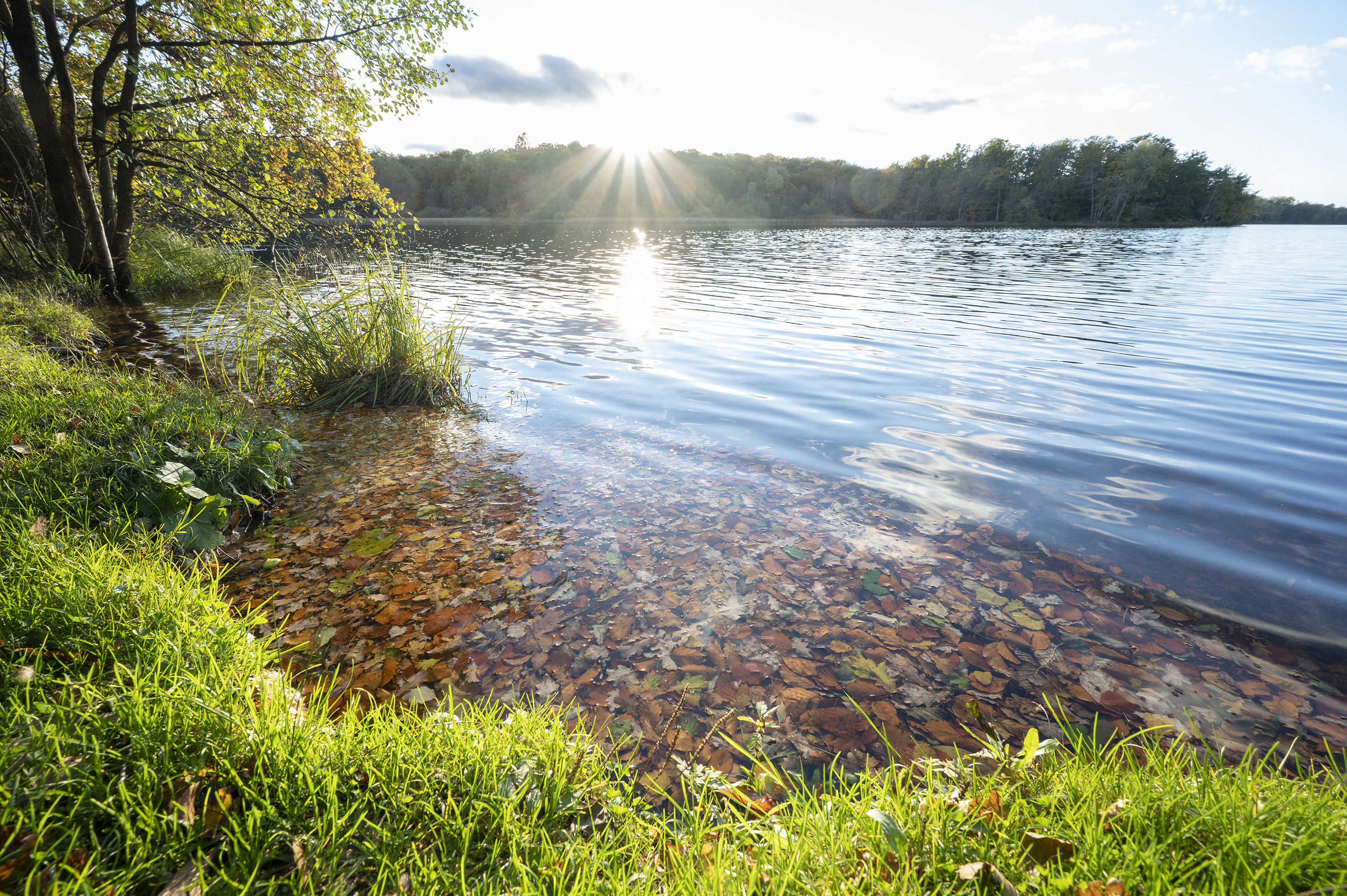 Solen strålar över Vaxsjön