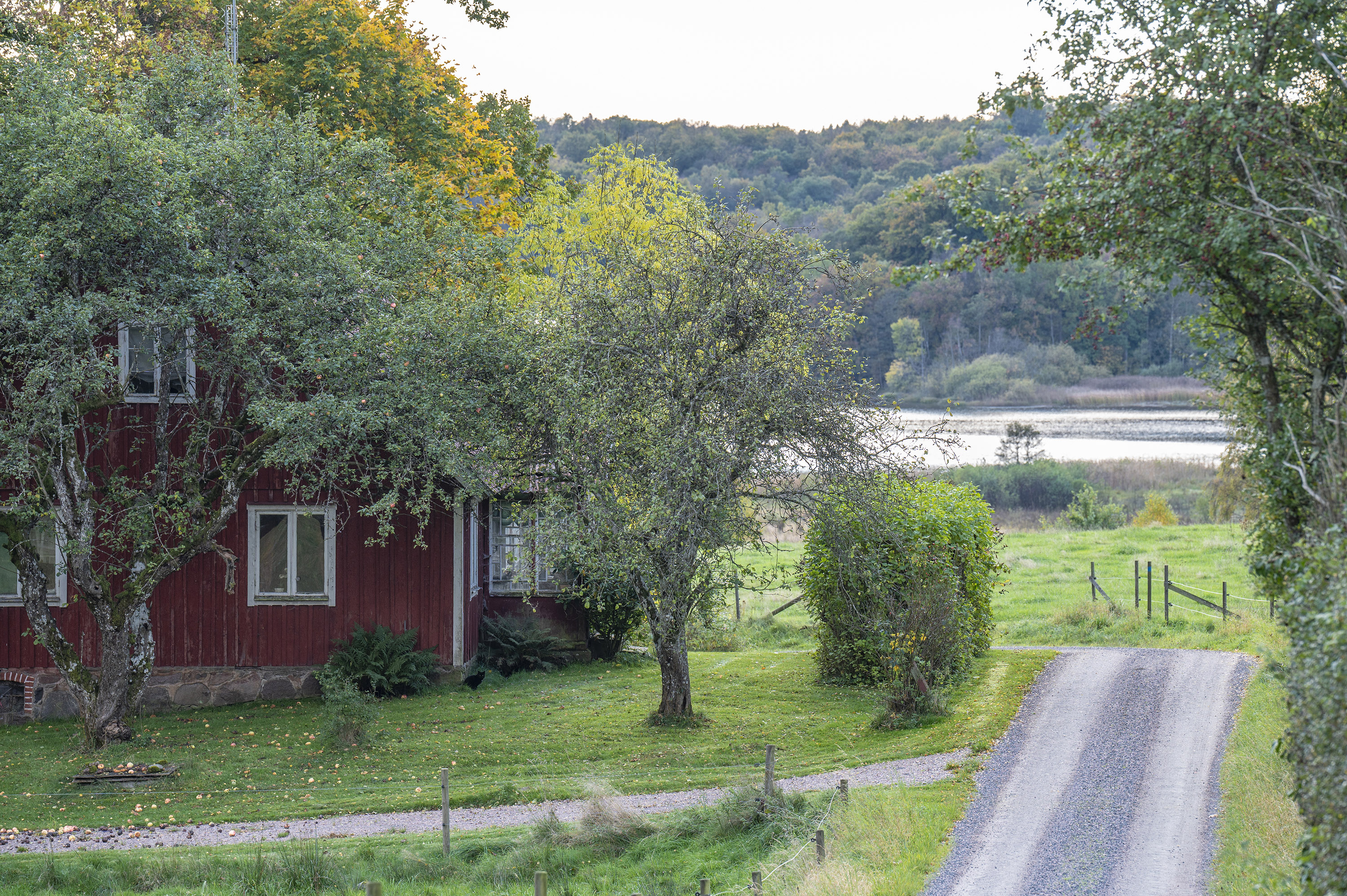 Ett vackert rött hus längst med en grusväg i Frostavallen