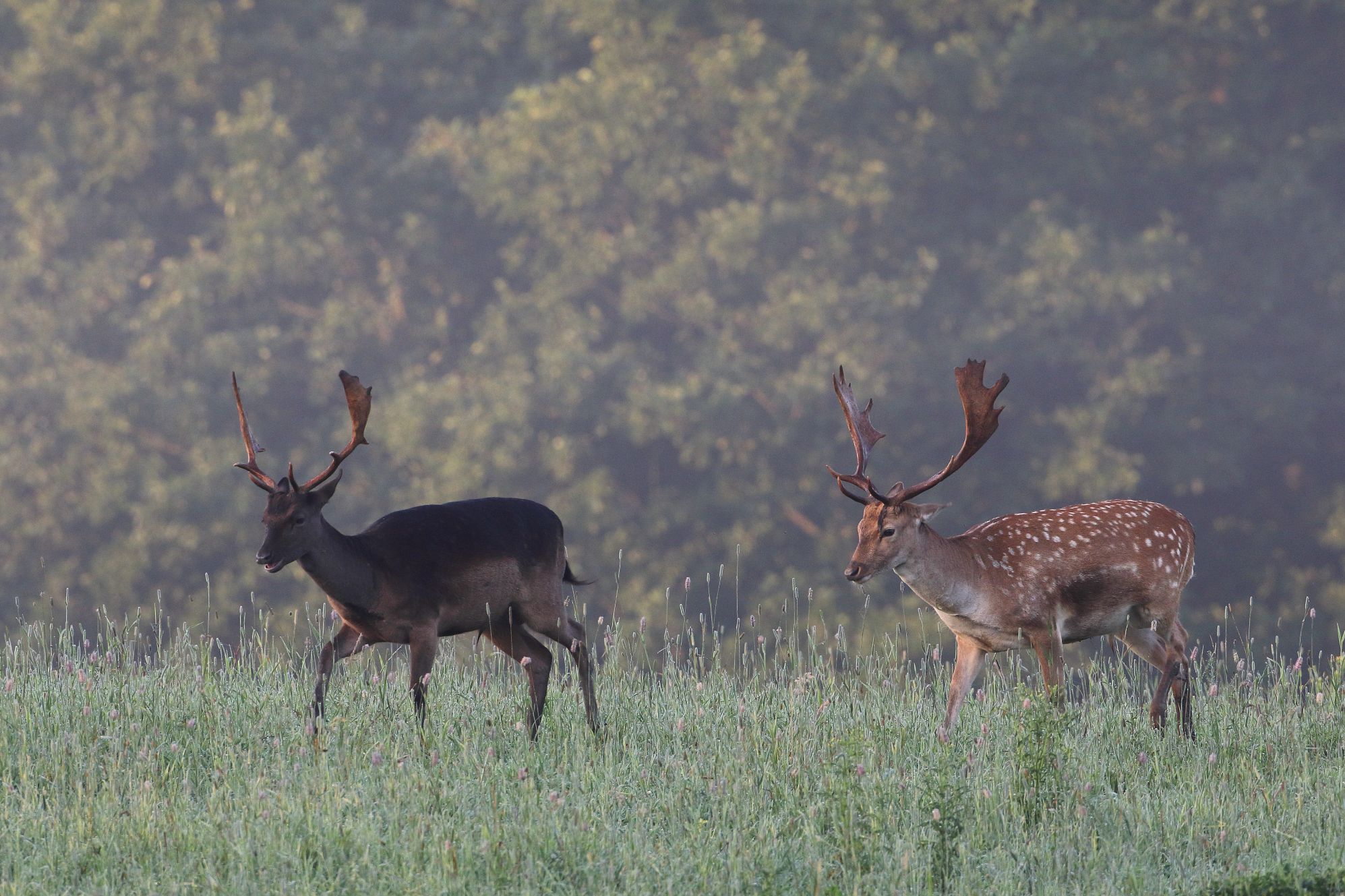 Fotograf: Anders Jarnemo
