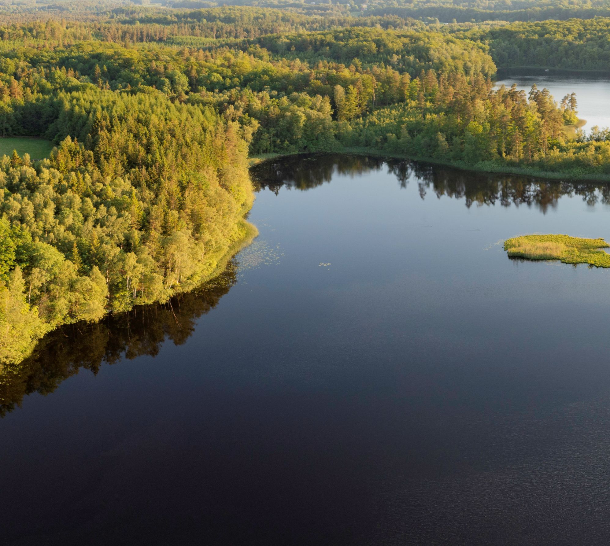 Grön skog kring en stor sjö.