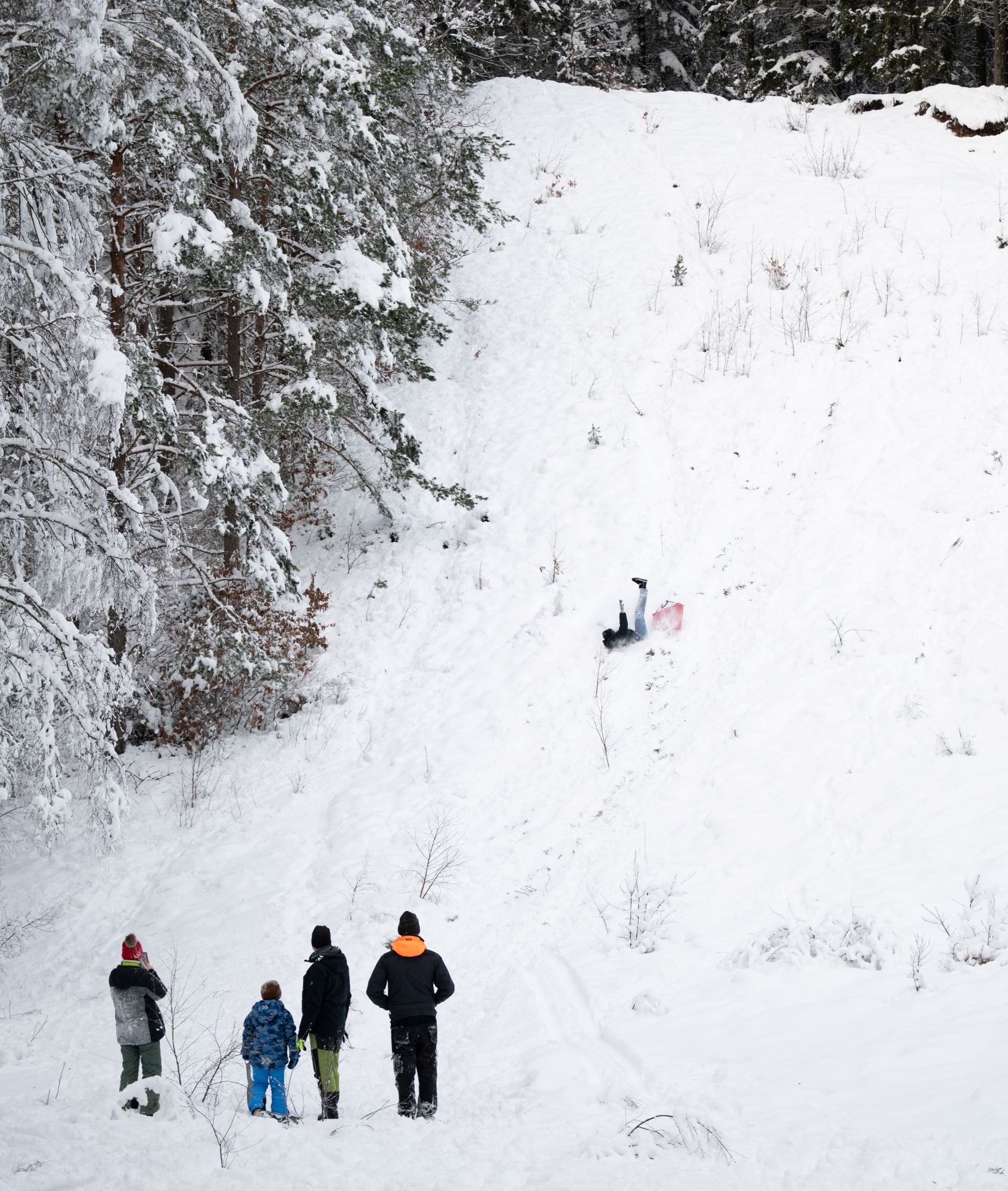 Ett barn ramlar ur ePulkbn pulka medan några tittar på.